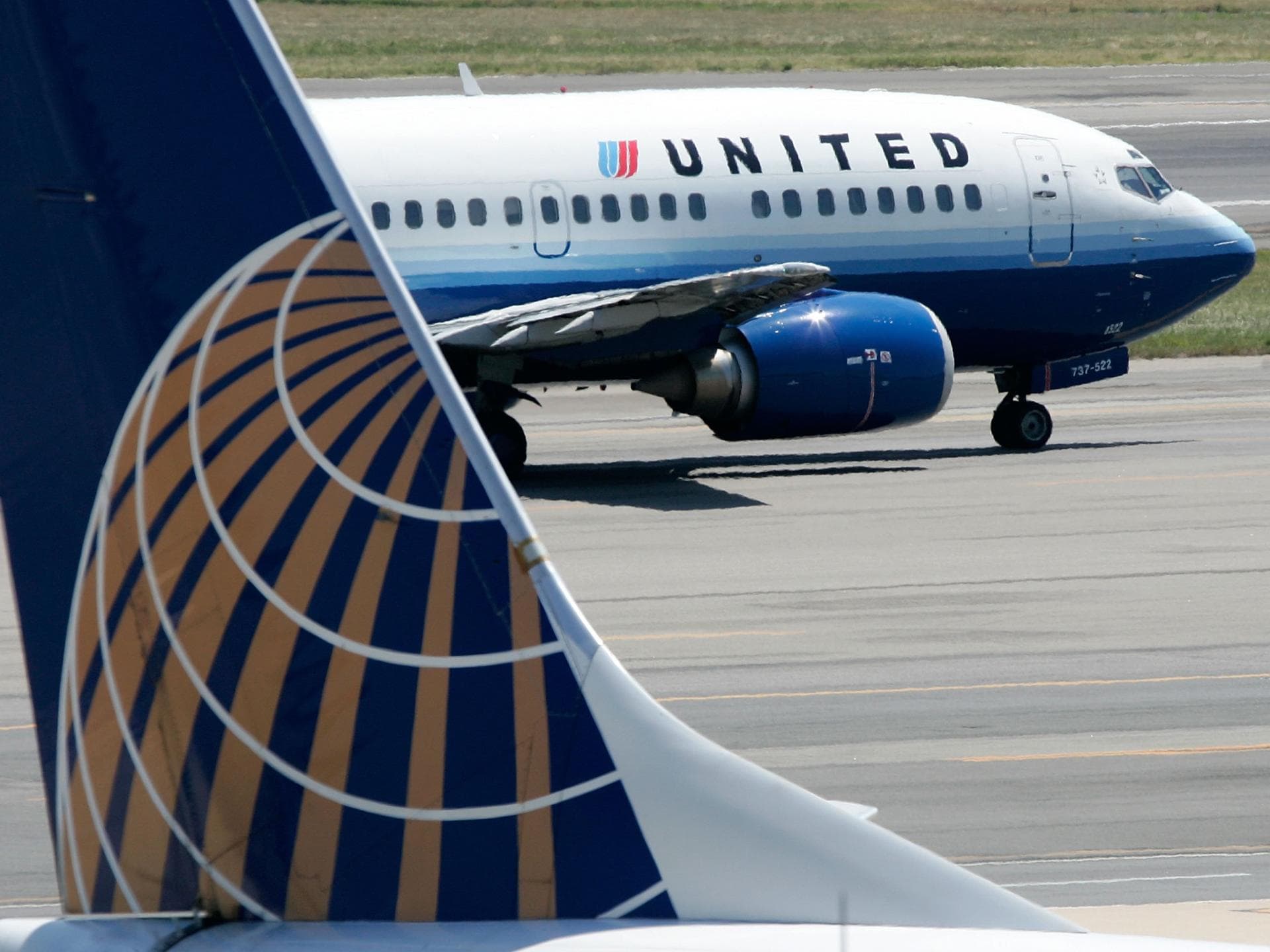 United Airlines Hund Skandal United Airlines Hund Skandal