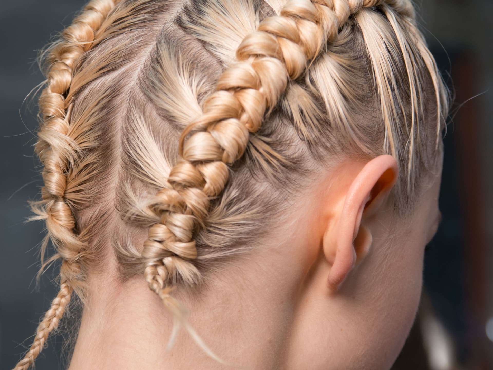 Kleine Boxerbraids Kleine Boxerbraids