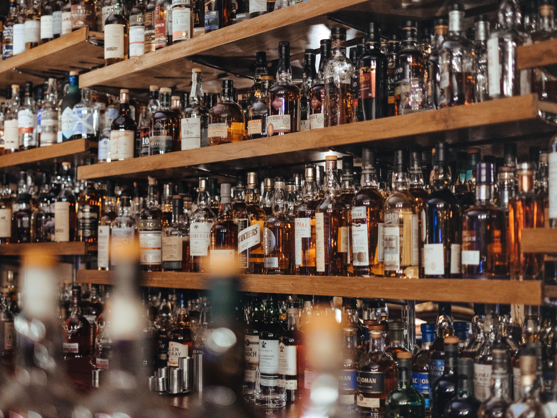 gin-studie gin-studie