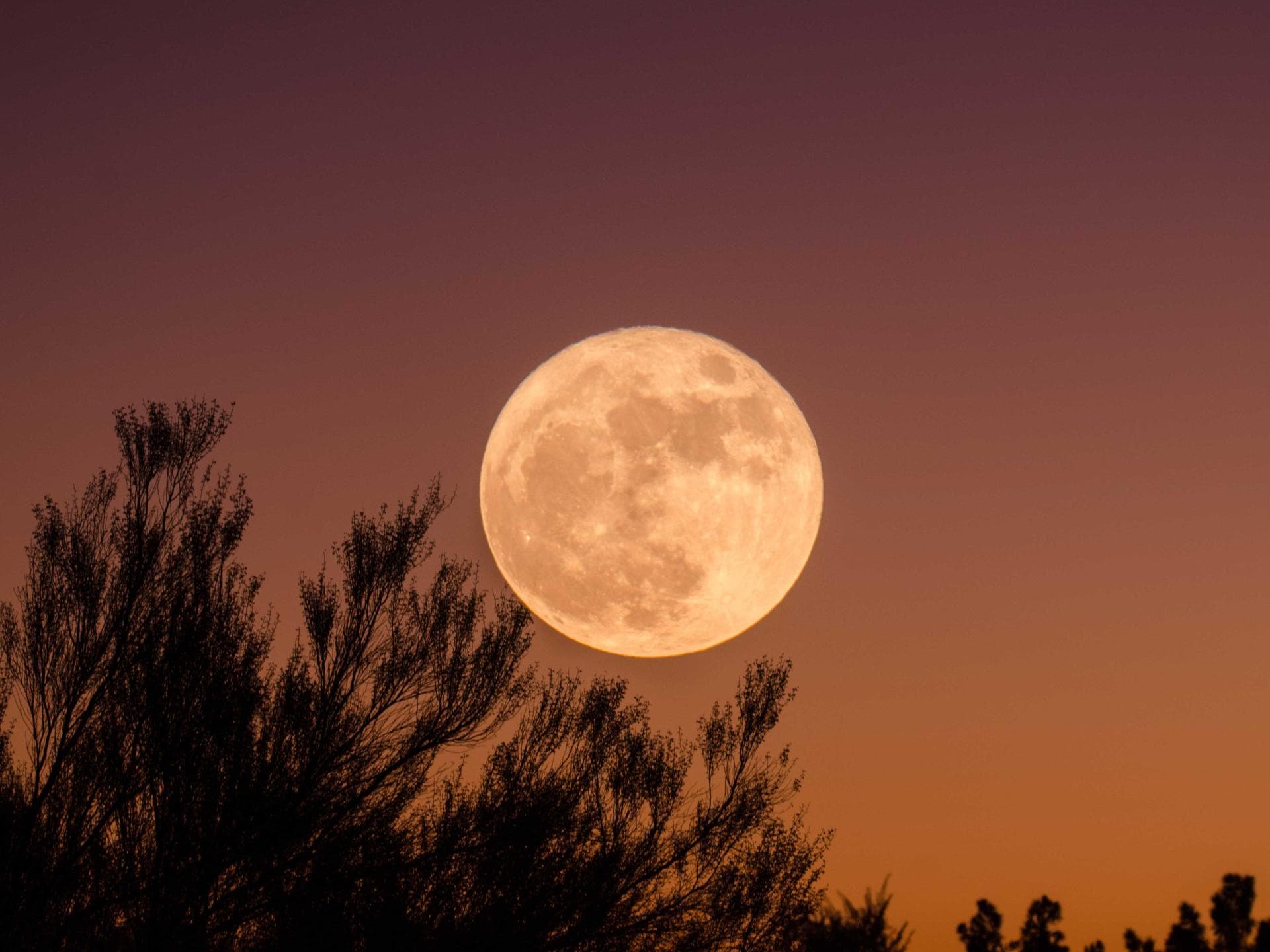 stoer-mond stoer-mond