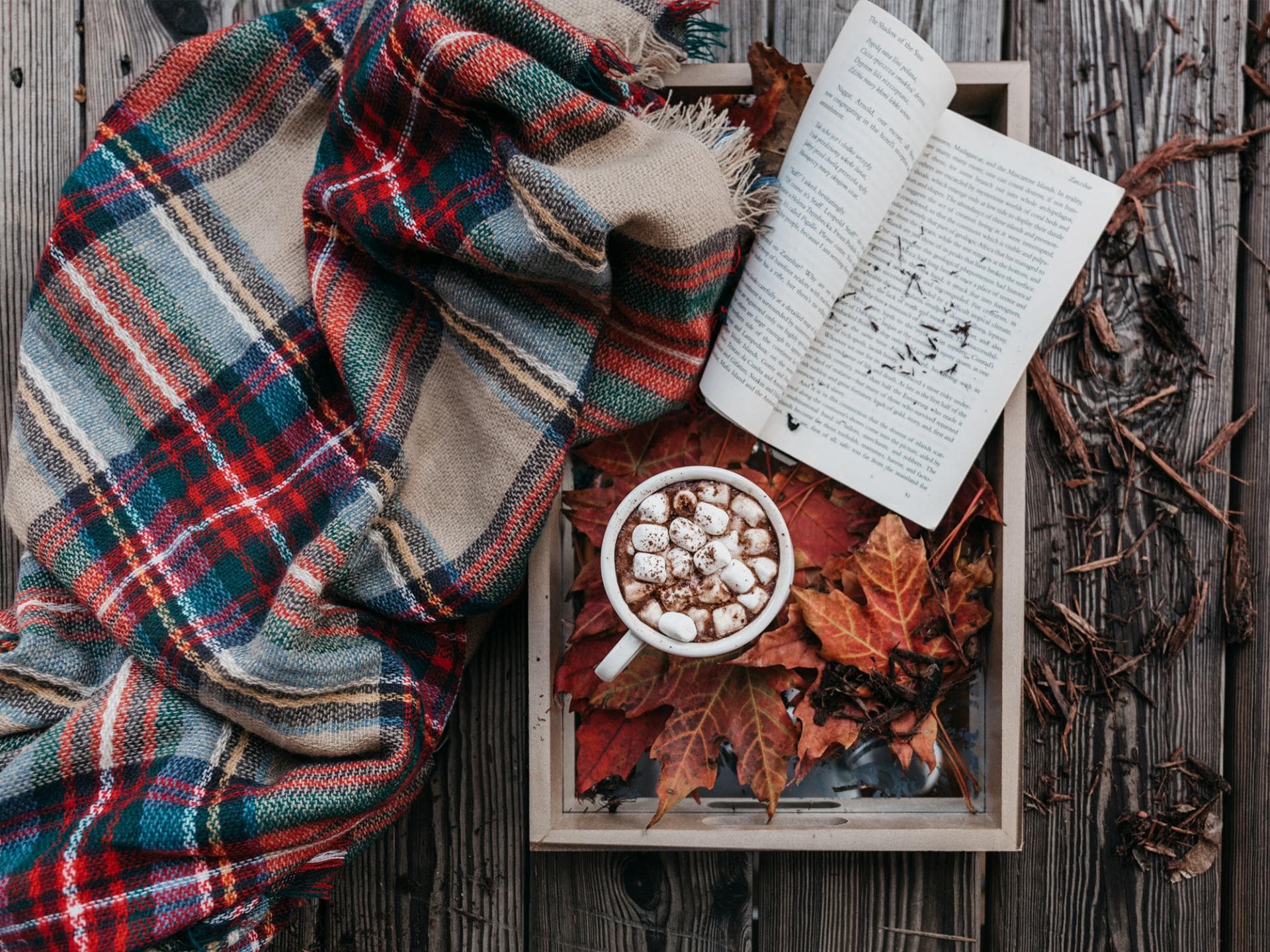 Aktivitäten-im-Herbst Aktivitäten-im-Herbst