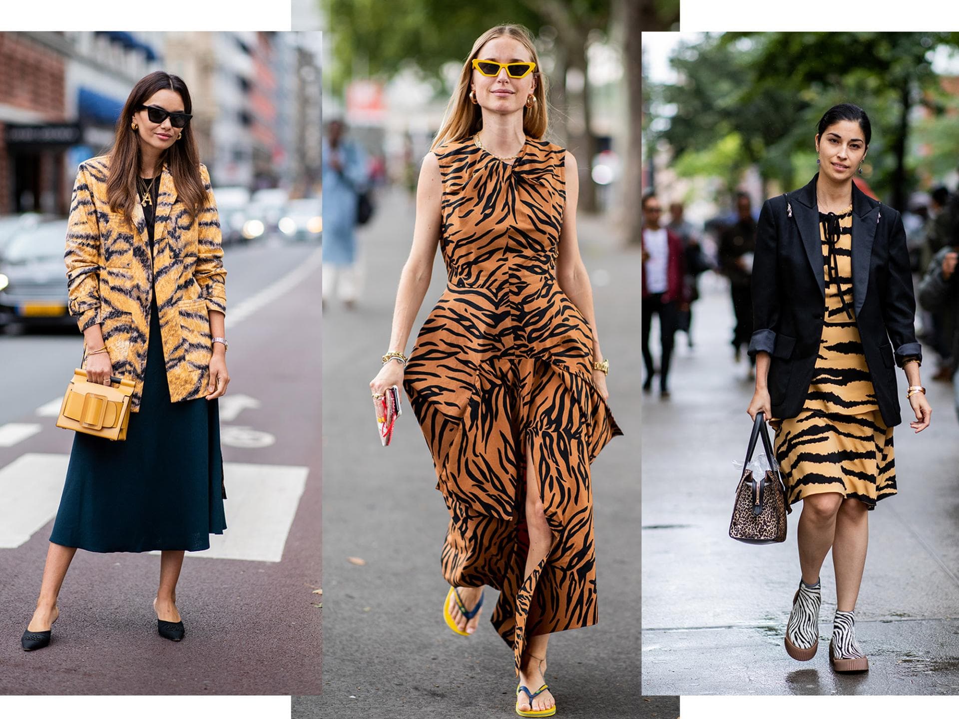 Tiger-Print Tiger-Print