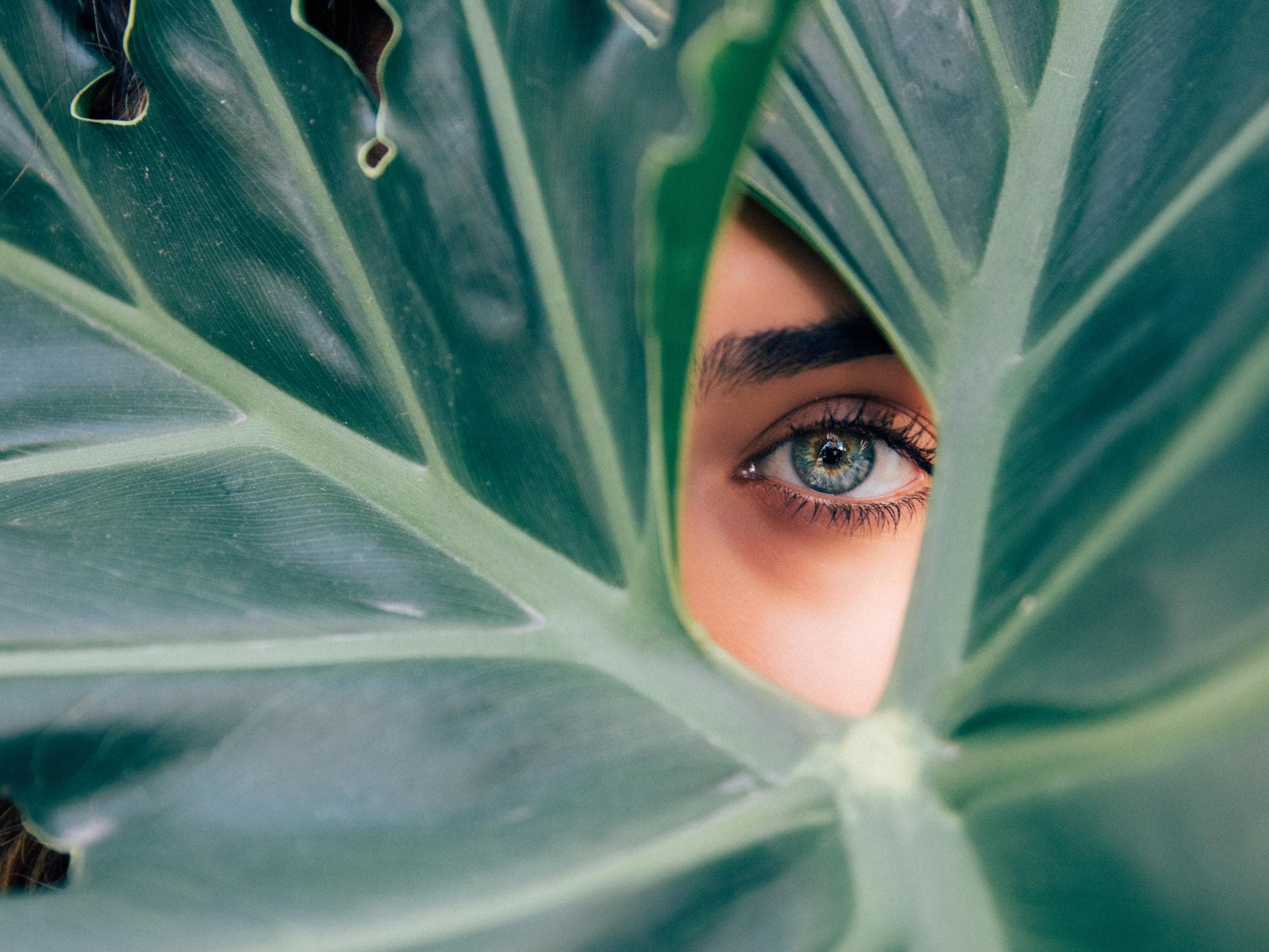 diese-beauty-produkte-verändern-dein-ganzes-jahr diese-beauty-produkte-verändern-dein-ganzes-jahr