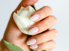 Gemachte Fingernägel einer Hand, die eine Tulpe hält