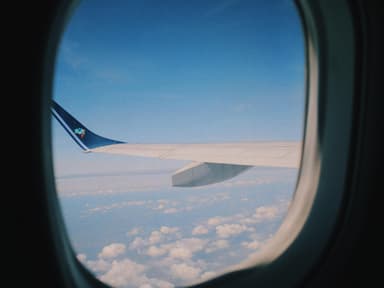 Fliegen