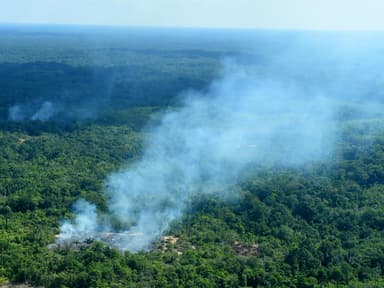 Rauch tritt aus dem Amazonas Regenwald auf