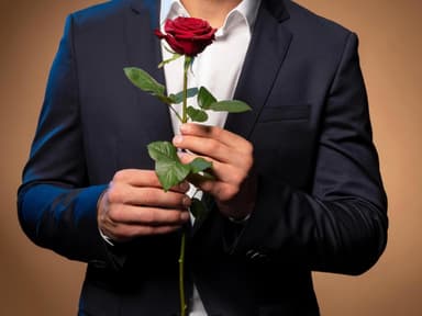 sebastian preuss der bachelor 2020