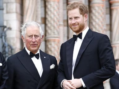 Prinz Charles und Prinz Harry