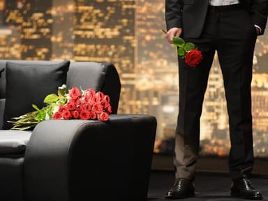 der bachelor alle junggesellen aus den staffeln 1-10
