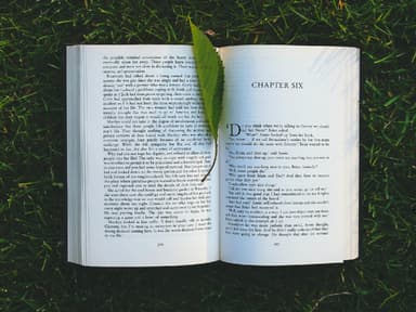 Die 3 schönsten Bücher für den Sommer