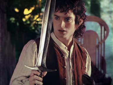 Elijah Wood als Frodo