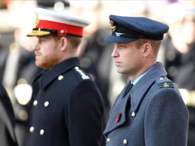 Prinz Harry und Prinz William