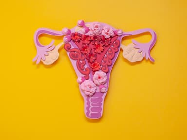 Uterus aus Blumen