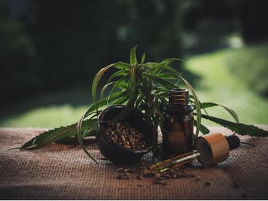 CBD-Öl
