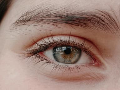 Lange Wimpern