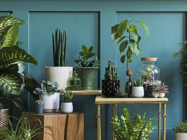Greenterior Wohntrend