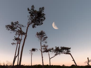Mond