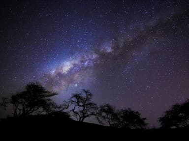 Universum