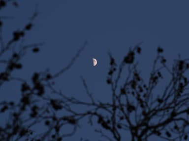 Pech-Sternzeichen der Woche Halbmond am Nachthimmel