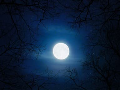 Februar-Vollmond