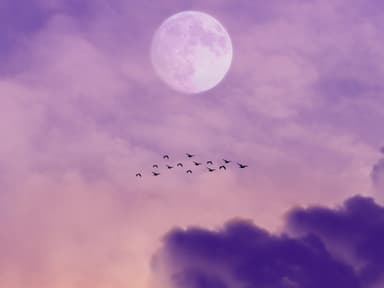 Lila Abendhimmel mit Vollmond