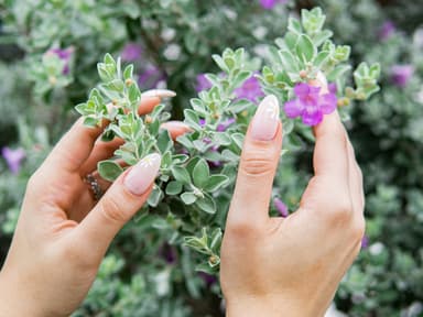 Nägel mit Blumendesign