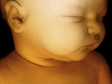 Die Entwicklung des Babys