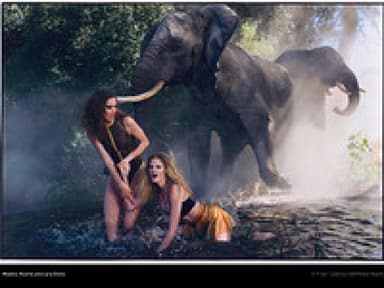 Wild! Der Pirelli-Kalender 2009