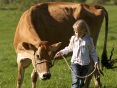 Zehn Sätze, die nur Kinder vom Dorf verstehen