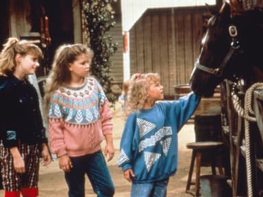 Von "Full House" zu "Fuller House" 