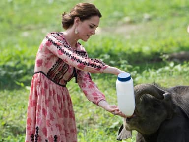 Katies schönste Kleider in Indien