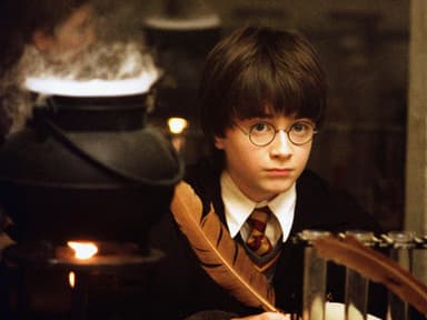Harry Potter und der Stein der Weisen