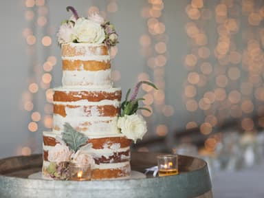 Naked Cakes