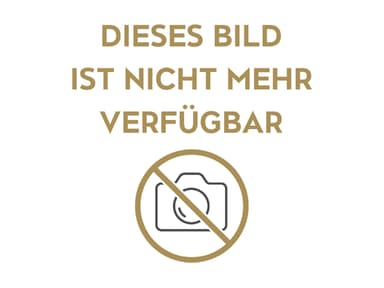 Dschungelcamp 2016 - Kandidaten