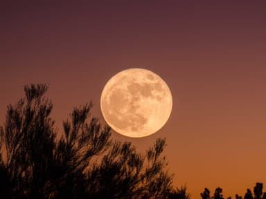 stoer-mond