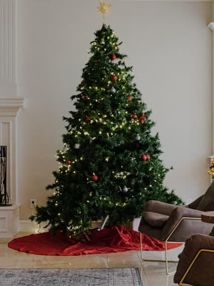 Wann Stellt Man Den Weihnachtsbaum Raus Weihnachtsbaum aufstellen: Das solltest du dabei beachten