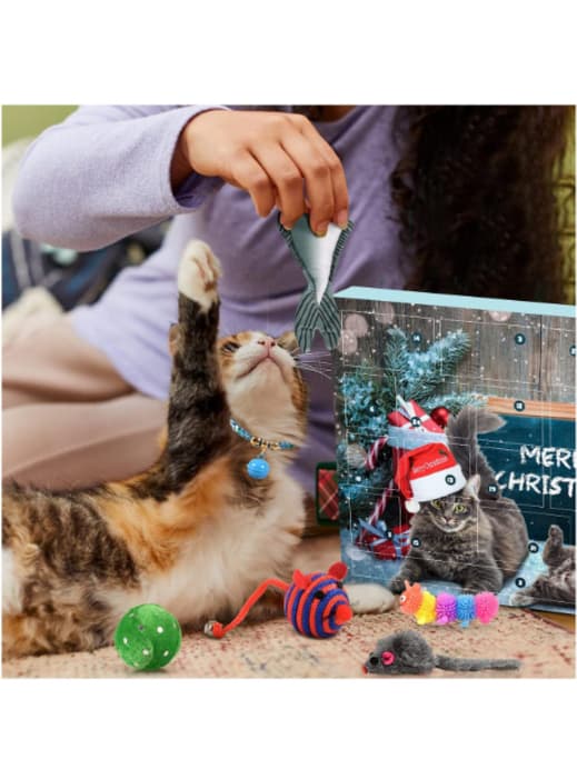 KatzenAdventskalender Die schönsten und leckersten Modelle für deine Vierbeiner
