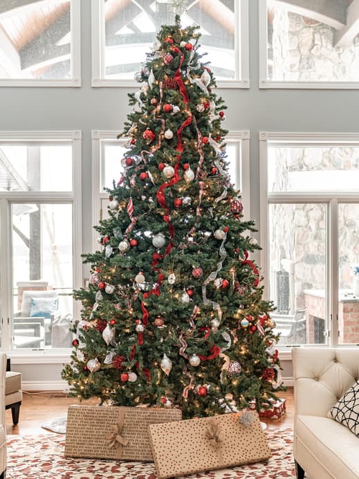 Wann Stellt Man Den Weihnachtsbaum Raus Weihnachtsbaum aufstellen: Das solltest du dabei beachten