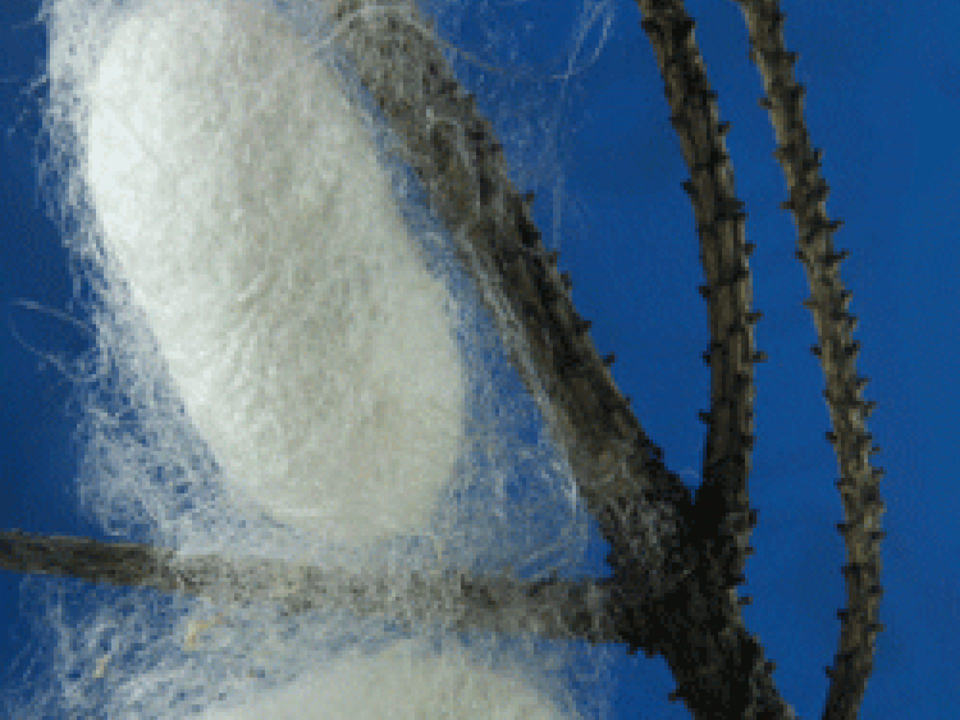 thinkstockphotos-478210811-gif-250-300-2048476.gif thinkstockphotos-478210811-gif-250-300-2048476.gif