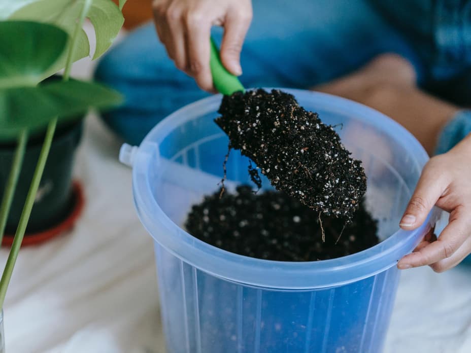 Pflanzen 2023: An diesen 3 Anzeichen erkennst du gute Blumenerde