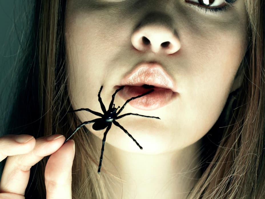 Wie Viele Spinnen Verschluckt Man Im Schlaf Wie viele Spinnen isst man im Schlaf?