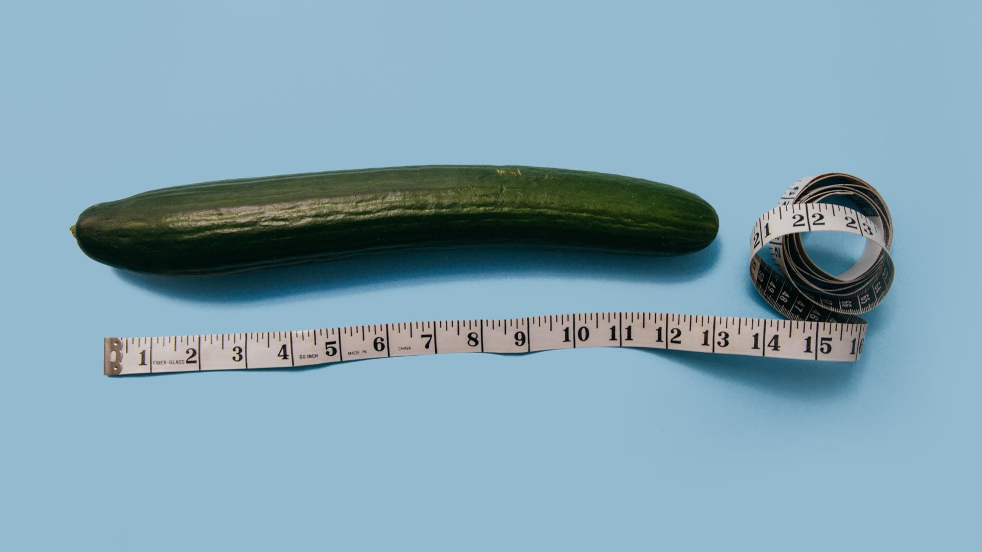 Der längste Penis der Welt? Der längste Penis der Welt?