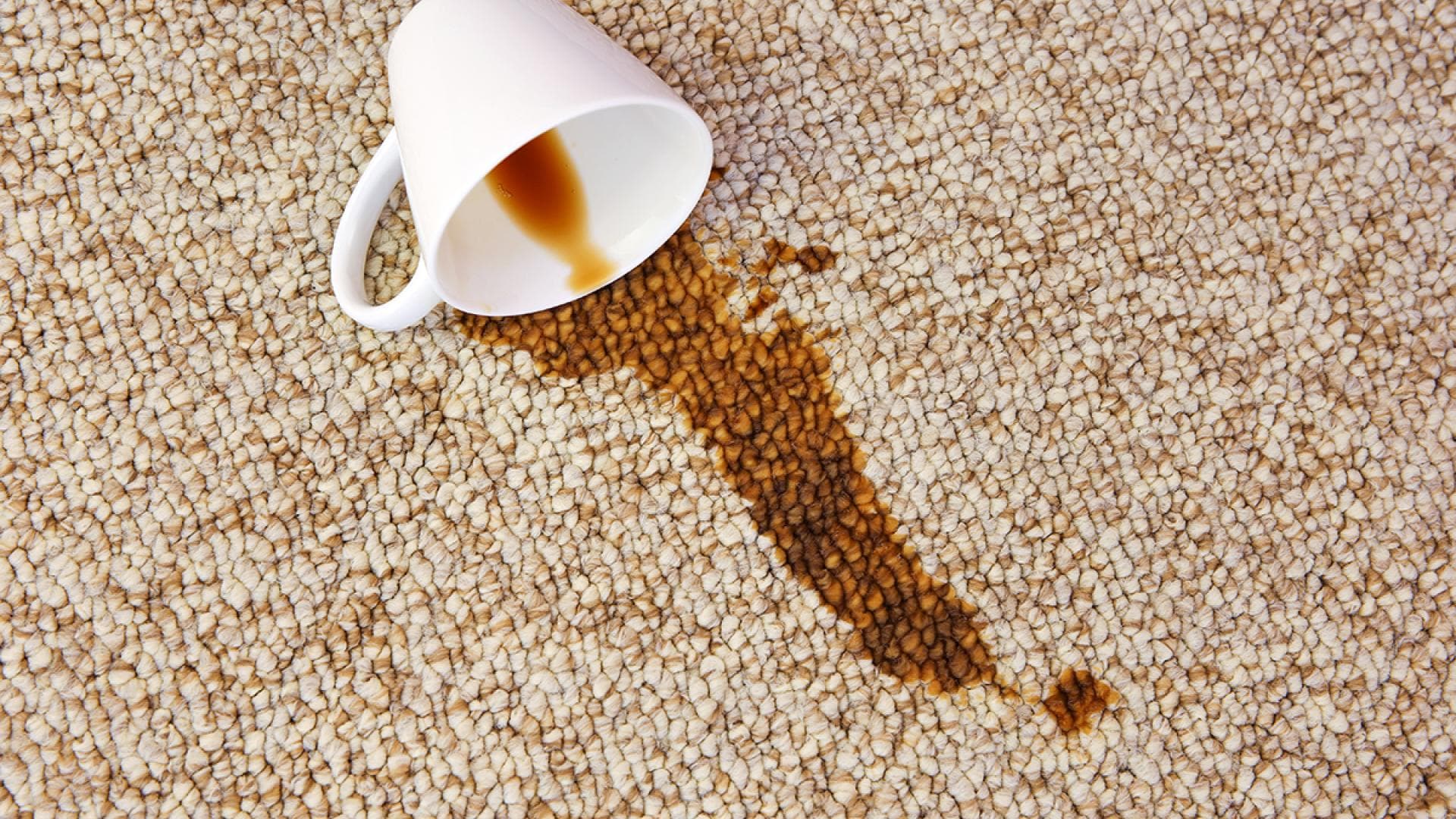 Flecken aus Teppich entfernen Die besten Hausmittel