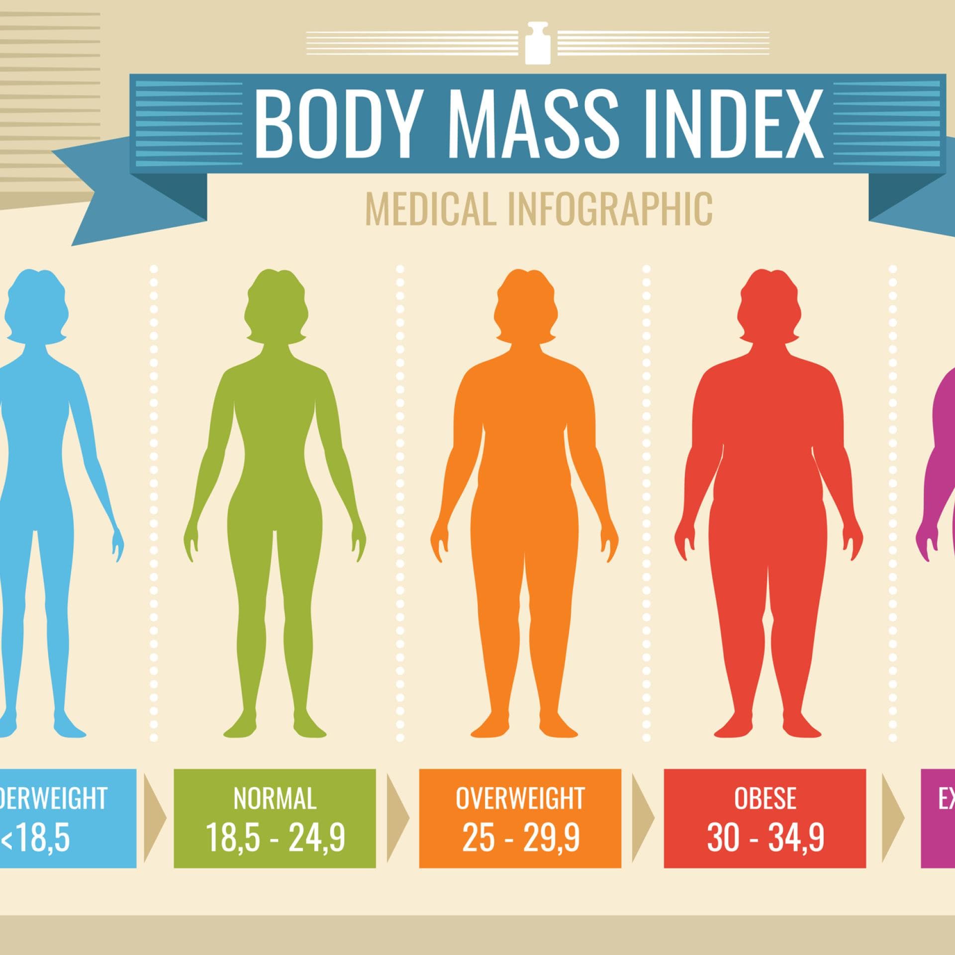 Verformen Richter Teilweise normalgewicht berechnen Zukunft Ausbildung