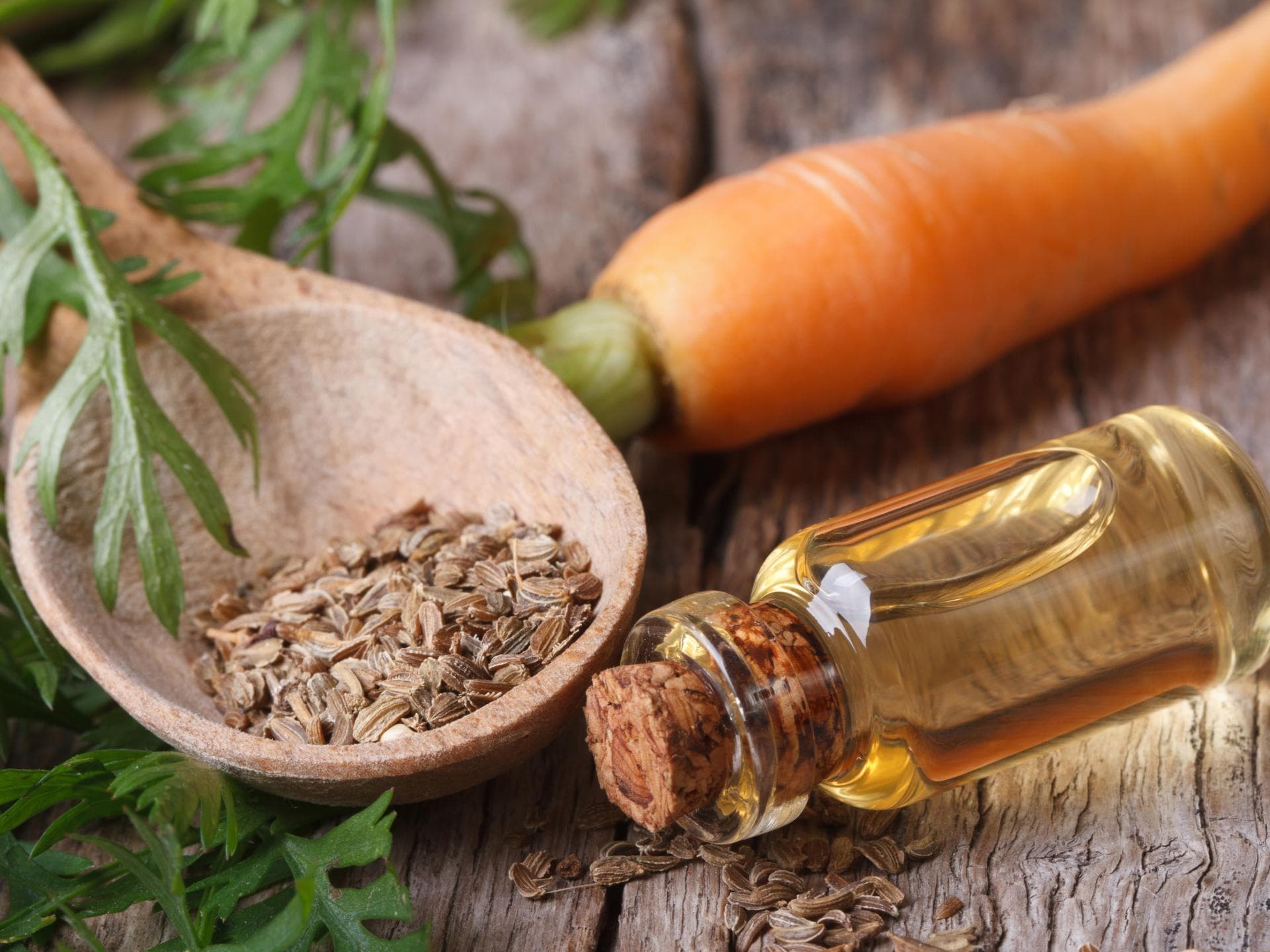 anwendung und wirkung fur haut und haare