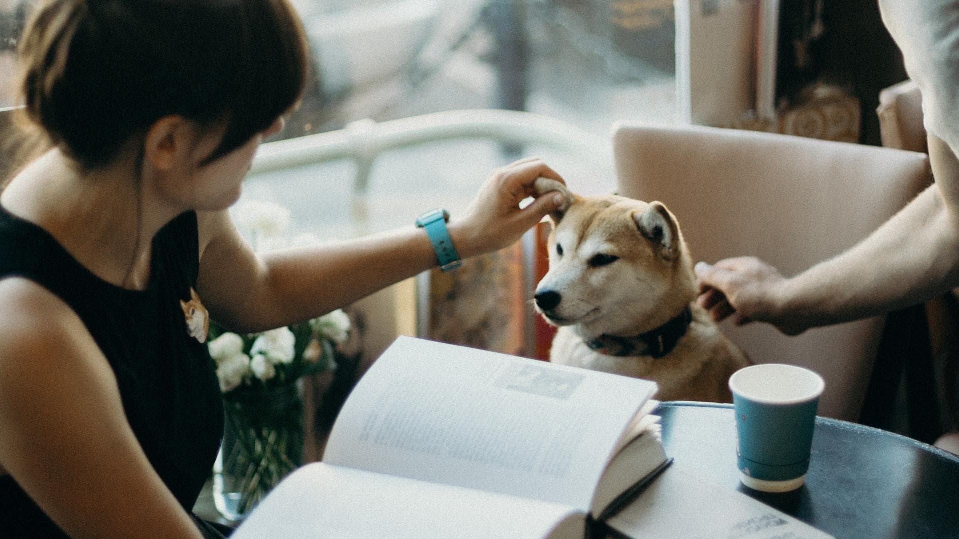 Hund beruhigen Mit diesen Tipps klappt�s ganz schnell