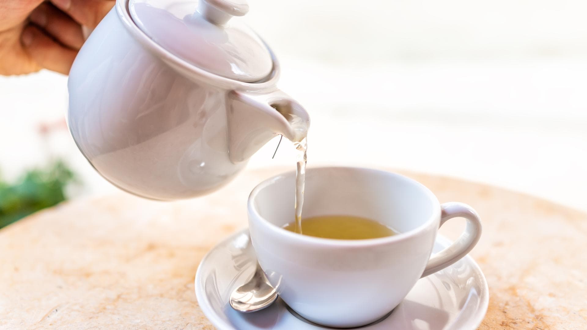 Weißer Tee So gelingt dir die Zubereitung