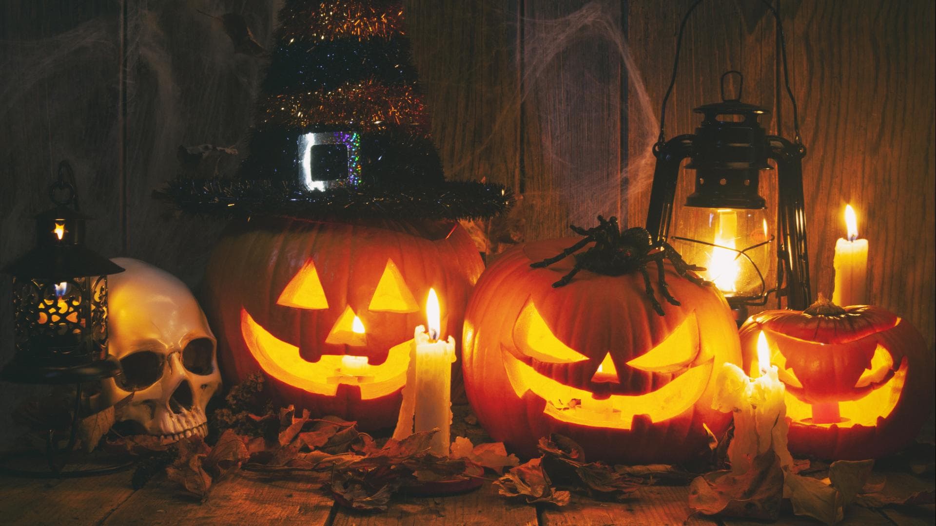Was ist Halloween Alle Fakten und Infos über das Gruselfest Was ist Halloween Alle Fakten und Infos über das Gruselfest