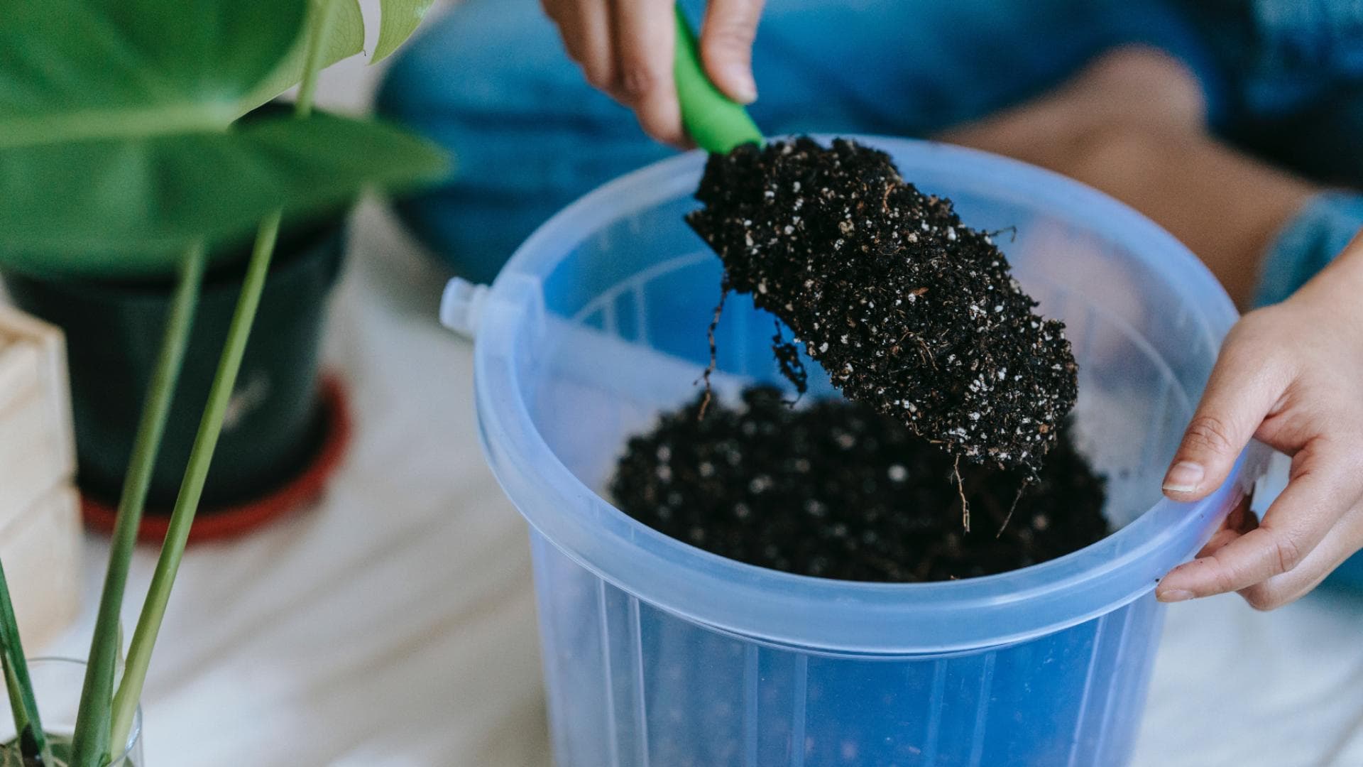 Pflanzentrends 2023 Darum ist es ein gutes Zeichen, wenn deine Pflanzenerde stinkt