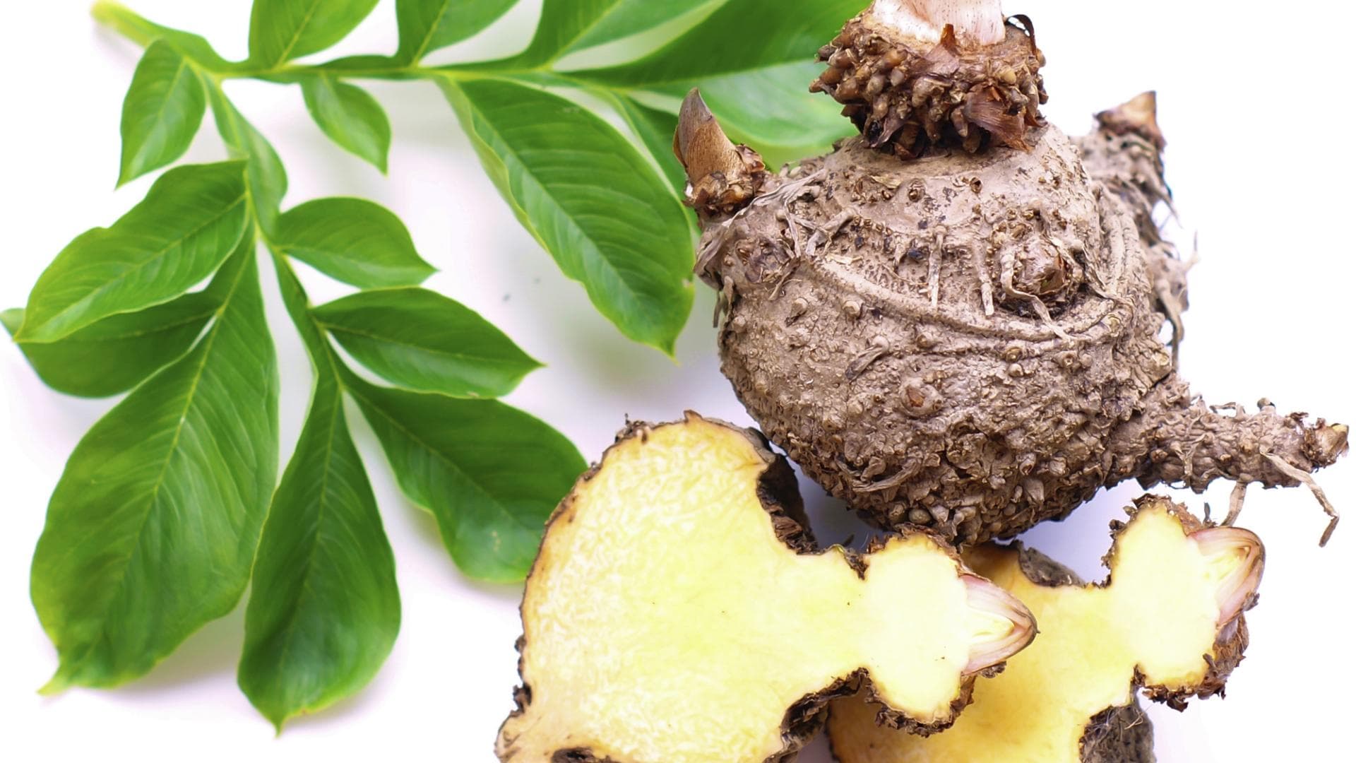 Konjak - ein Kohlenhydratersatz?